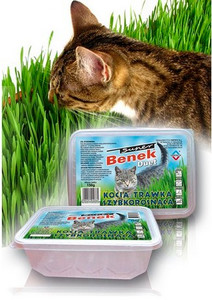 Super Benek Fast-growing Grass for Cats 150g