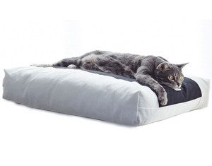 MyKotty Cat Pillow Padi