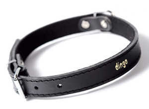 Dingo Leather Dog Collar 1.0x30cm, black