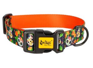 Dingo Adjustable Dog Collar City - Chiapas 3.0cm/60cm