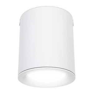 Ceiling Lamp LED GoodHome Ipsoot 800 lm IP44 2700/4000 K, white