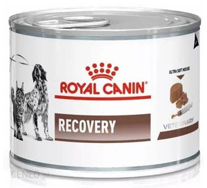 Royal Canin Veterinary Diet Recovery Wet Dog Food 195g