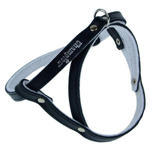 Champion Leather Dog Harness 40, black