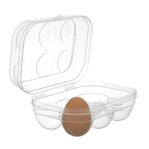 6-Egg Plastic Container