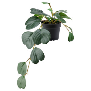 FEJKA Artificial potted plant, in/outdoor hanging, Peperomia, 9 cm