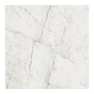 Gres Tile Wall/Floor Athena 61 x 61 cm, bianco, 1.49 m2