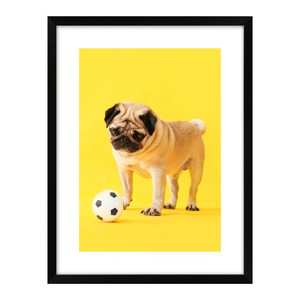 Picture Dog with Ball 30 x 40 cm