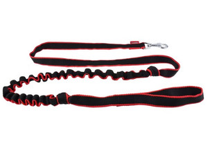 Champion Bungee Dog Leash 2.5