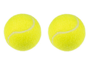 Flamingo Dog Tennis Balls 8cm 2-pack