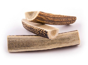 4DOGS Natural Dog Chew from Discarded Antlers, L+ Easy 1pc