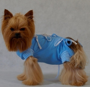 Grande Finale Postoperative Shirt for Dogs Size 1 / 22cm, blue