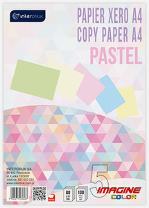 Copy Paper A4 80g Pastel Colours 100 Sheets