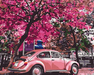 Symag Painting by Numbers Spring Parking 14+