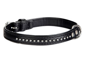 Dingo Dog Collar Glamour 1.4x30cm, black