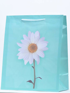 Gift Bag Flower 51x71cm, assorted