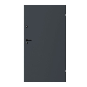 Universal Door Uran 100 with 2 locks, right, anthracite