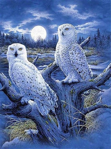 Norimpex Diamond Mosaic White Owls 3+