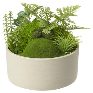 FEJKA Artificial potted plant, moss, 15 cm