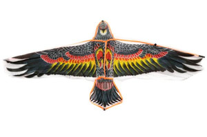 Kite Bird