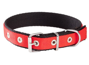 Dingo Dog Collar 2.5cm/60cm, red-black