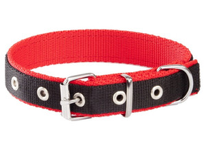 Dingo Dog Collar Tape 2.5cm/50cm, black-red