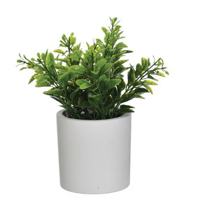 Artificial Plant with Plant Pot 19cm, green