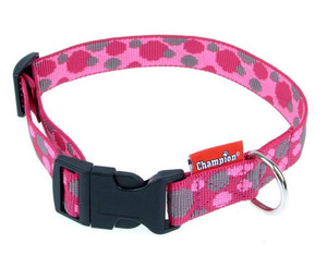 Champion Dog Collar Lux 60/2.5cm