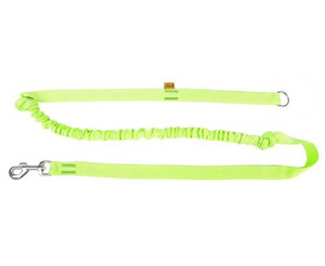 Dingo Dog Leash with Loop Bungee for Jogging 170cm, green