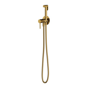 Omnires Concealed Bidet Set Preston, gold