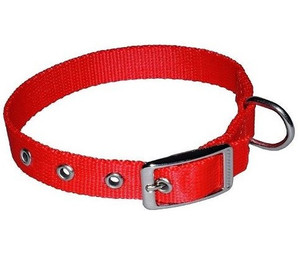 CHABA Dog Collar Plain Lux 16mm x 46cm, red
