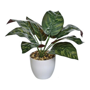 Artificial Plant Caladium with Plant Pot 25cm, dark green