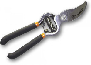 Bradas Prunner Traditional8" KTRG1009