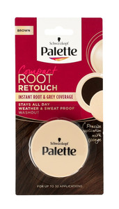 Palette Root Retouch Instant Root & Grey Coverage - Brown 3g