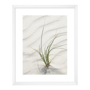 Picture Grass in the Sand 40 x 50 cm