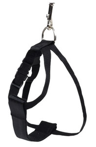 CHABA Dog Harness/Seat Belt Size M