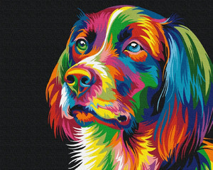 Symag Painting by Numbers Colourful Dog 14+