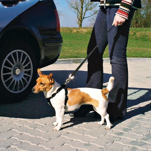 Trixie Dog Car Harness Size M