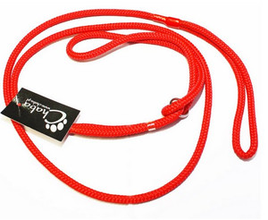 CHABA Dog Leash 8mm, red