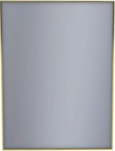 Dubiel Vitrum Mirror Stark 60 x 80 cm, gold frame