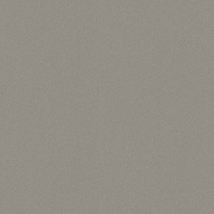 Kitchen Splashback Laminated Wall Panel 0.3 x 60 x 200 cm, grey matt zinc