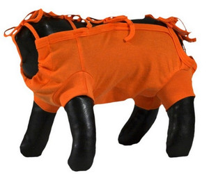 Grande Finale Pet Cat Recovery Suit Post-Surgical 25cm, orange