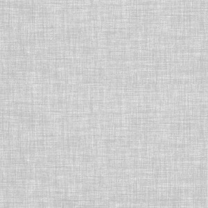 GoodHome Vinyl Wallpaper on Fleece Shung, plain, light grey