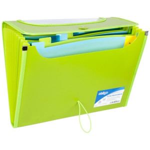 Document Folder with 12 Pockets A4 25mm, green