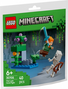 LEGO Minecraft The Lush Cave Fight 6+