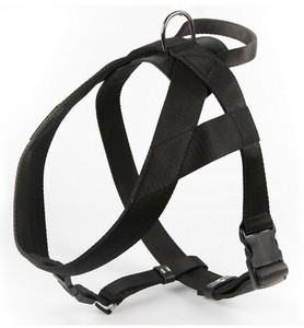 Dingo Dog Harness 4cm, black