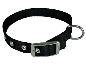 CHABA Dog Collar Plain Lux 25mm x 60cm, black