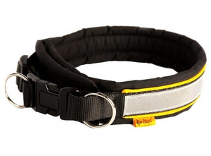 Dingo Adjustable Reflective Dog Collar 4.5x37-43cm