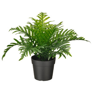 FEJKA Artificial potted plant, indoor/outdoor Whitley Giant, 9 cm