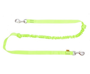 Dingo Dog Leash Bungee for Jogging 170cm, green