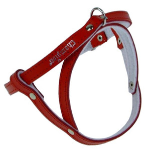 Champion Leather Dog Harness 60, red